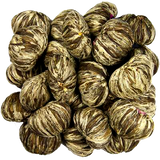 Primula TMV-2012 Flowering Green-Tea